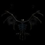 Skelly