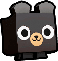 Black Bear