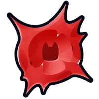 TNT