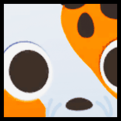 Koi Fish
