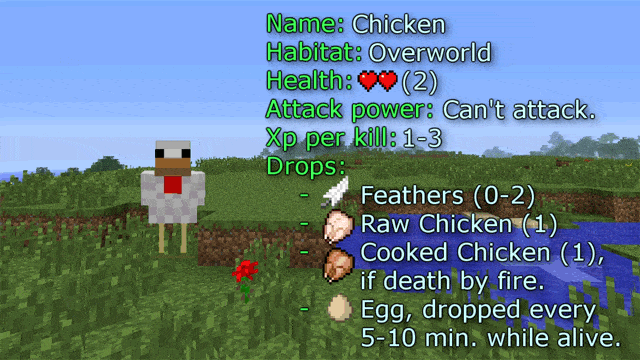 Chick