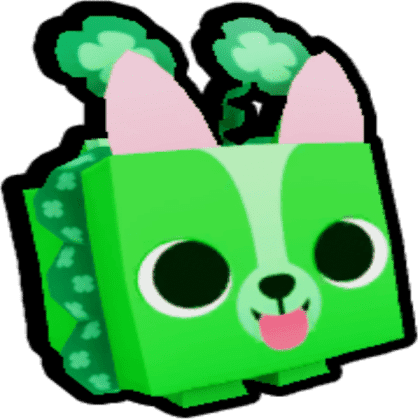 Irish Corgi