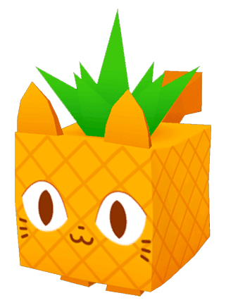 Pineapple Cat