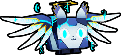 Arcane Cat