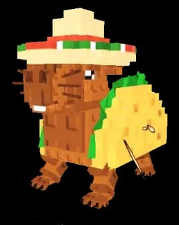 Capi Taco