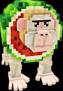 Pi Pi Watermelon