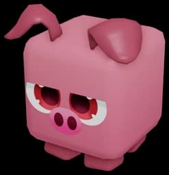 Piggy