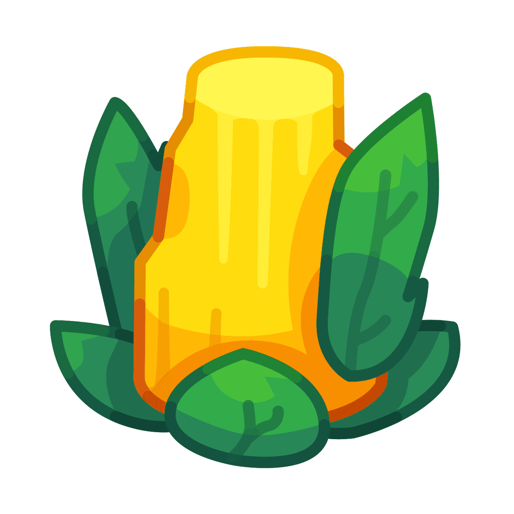 Corn