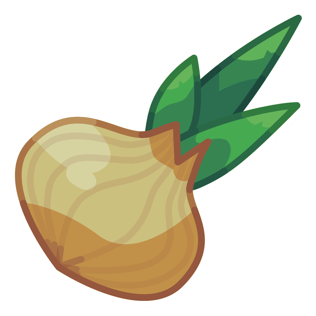Onion