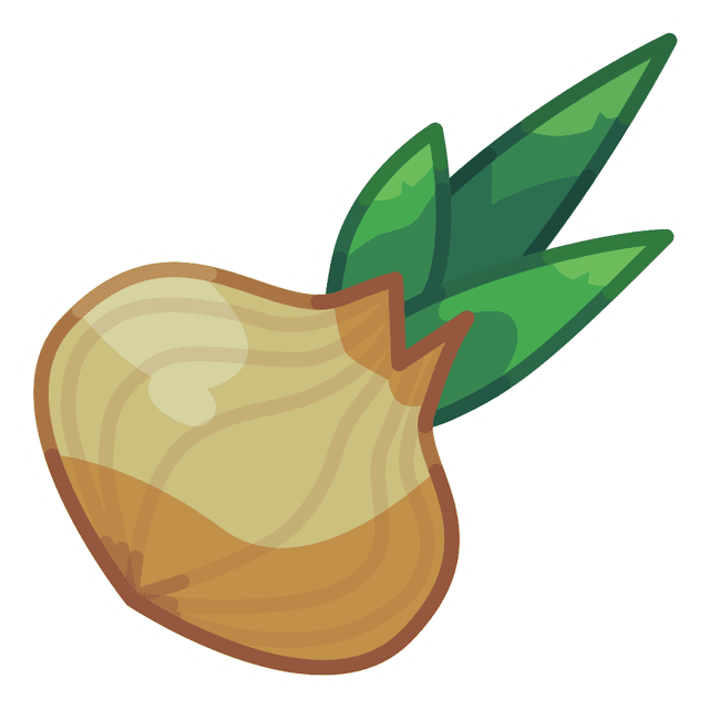 Onion