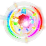 Rainbow Gardener Bee