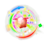 Rainbow Nurse Bee