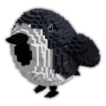 Birb