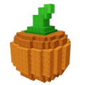 Atlantic Giant Pumpkin