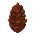 Conifer Cone