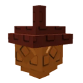 Maple Acorn