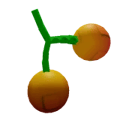Maple Cherry