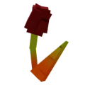Maple Tulip