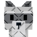 Big Raccoon