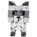 Raccoon