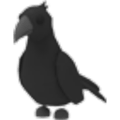 Crow