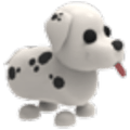 Dalmatian