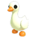 Goose