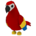 Parrot