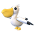 Pelican