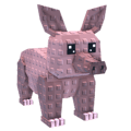 Aardvark
