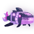 Admin Core Shark