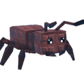 Ant
