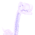 Barosaurus Skeleton Fossil