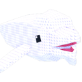 Beluga Whale