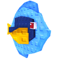 Blue Tang