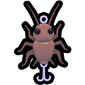 Bug Bait