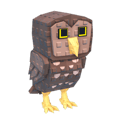 Burrowing Owl
