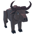Cape Buffalo