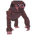 Chimpanzee