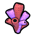 Coral Fruit