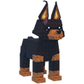 Doberman