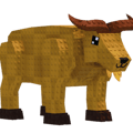 Golden Takin