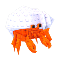 Hermit Crab