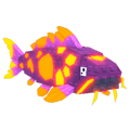 Lava Koi