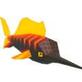 Lava Sailfish