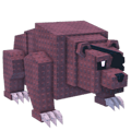Liminal Bear