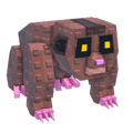 Loris