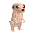 Meerkat