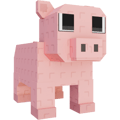 Pig