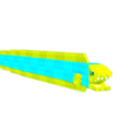 Ribbon Eel